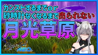 【#ブレイドアンドソウルNEO 】カンストするか砂時計なくなるまで出れない月光草原【※ネタバレ注意】