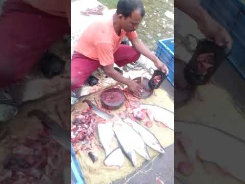#shortvideo आज करनाईपुर बाजार मछली खरीदने गए