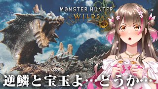 逆鱗と宝玉を出す！物欲センサーにも歴戦ラギア＆レギオスにも負けない配信【モンハンワイルズ】