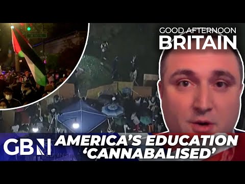 America's education system has been 'completely CANNABALISED' by 'FAKE liberals'