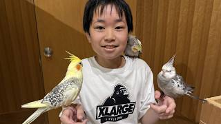 動画サムネイル