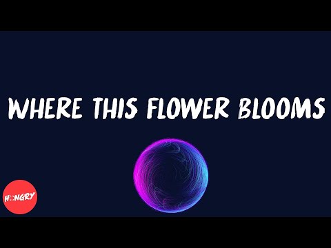 Tyler, The Creator - Where This Flower Blooms (feat. Frank Ocean) (lyrics)