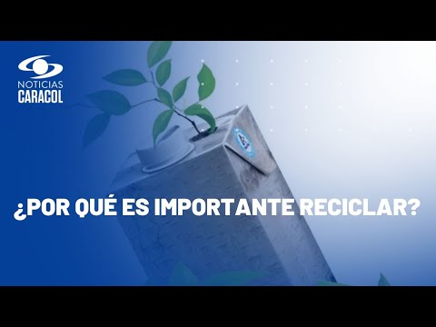 Aprenda a reciclar: así se clasifican los desechos en casa