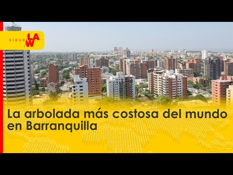 La arbolada más costosa del mundo: Herman Martínez por programa Siembra+ en Barranquilla