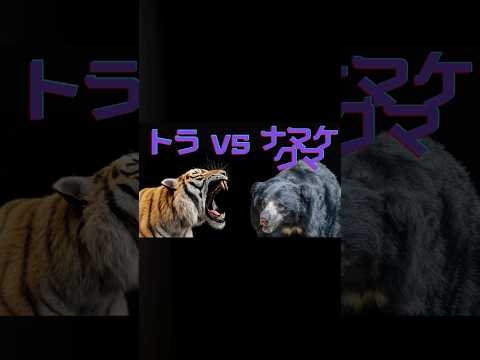 動物たちの仁義なき戦い トラvsナマケグマ #shorts