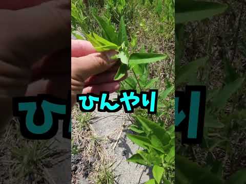 thumbnail_IFItUt3B3mk