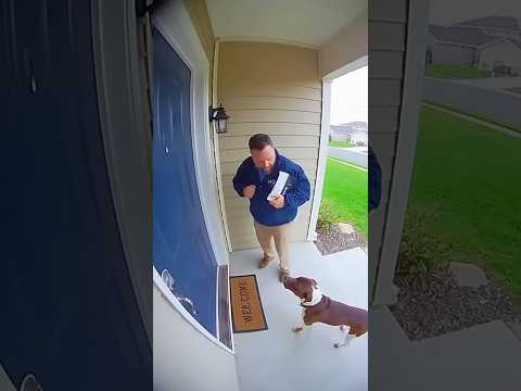 This DOG is a TOUGH cookie! #DoorbellCam #HOA #security #viral #subscribe