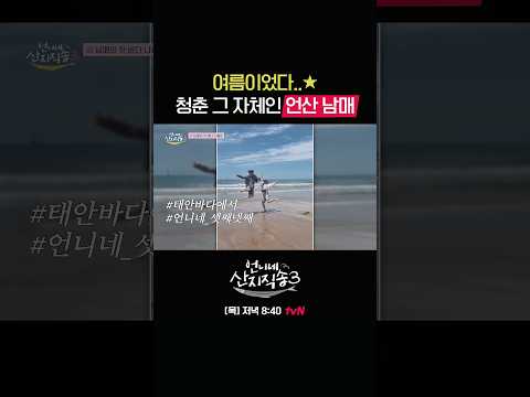 바다에서 언산 남매의 <strong>영화</strong> 같은 <strong>순간</strong>🌊 #언니네산지직송3 EP.6