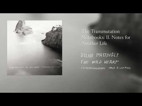 Dylan Mattingly - The Transmutation Notebooks: II. Notes for Another Life (Official Audio)
