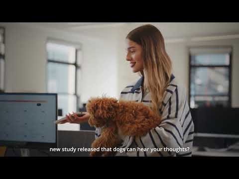 Meet Tavily: Powering AI That Gives You Answers You Can Trust