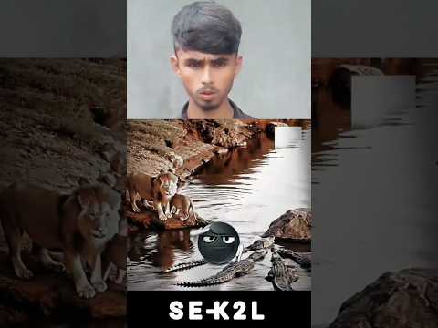 What 😱☠️🦅#video #funny