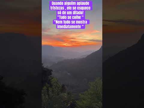 #tnobrasil #coreografia