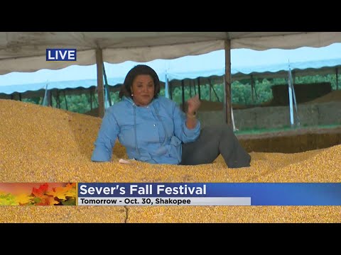 Have you ever climbed a mountain made of corn?