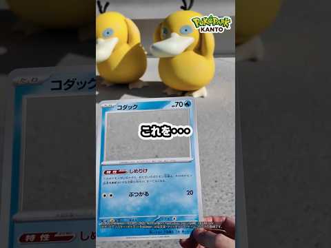 無料で貰えるポケカ風フォトカードが可愛すぎた！【ポケパーク カントー】
