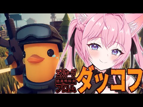 【エスケープ フロム ダッコフ】面白すぎて無限に遊べる！！倉庫エリア突入からだ～！！【博衣こより/ホロライブ】