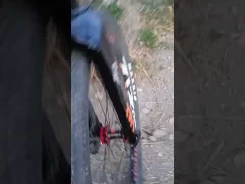 casi me caigo cruzando el arroyo