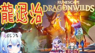 間が空きすぎてよくわからんけど。龍退治ゲーム　6龍目 【#RuneScapeDragonwilds】【#AIVtuber】