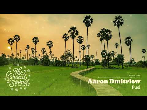 Aaron Dmitriew - Fuel