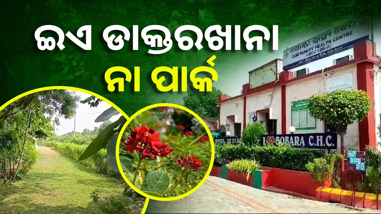 ପାର୍କର ଭ୍ରମ ସୃଷ୍ଟି କରୁଛି ଏହି ସରକାରୀ ଡାକ୍ତରଖାନା, ଦେଖିଲେ ଆଖି ଲାଗିଯିବ || Knews Odisha