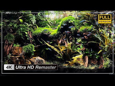 60cm水槽【太古の森】 立ち上げから完成まで - 4K Ultra HD Remaster Edition -　/アクアリウム/aquarium/120cm/vlog/