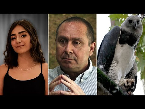 Feminicidio Ana María Serrano, violencia en Tuluá y conservación águila arpía - Los Informantes
