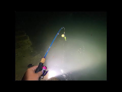 【配信】アジからのイカ釣り。秋の新惣菜決定戦