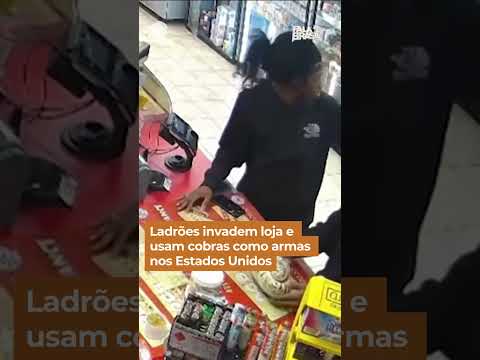 Criminosos invadem loja usando cobras como armas nos EUA #Shorts #FalaBrasil