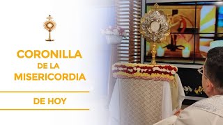 Coronilla de la Misericordia - Padre, perdona nuestras ofensas y no nos dejes caer en tentación