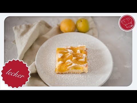 Blechkuchen mit Pflaumen aus dem Thermomix | elegant-kochen.de