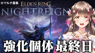 強化個体最終日！「常夜の王・知性の蟲」に挑戦するぞ！マルチ募集【ELDEN RING NIGHTREIGN／steam版】