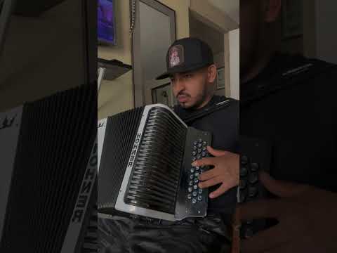 MAMI Acordeón Cover ##regionalmexicano #pesopluma #chinopacas #mexicanmusic #acordeon #musictheory