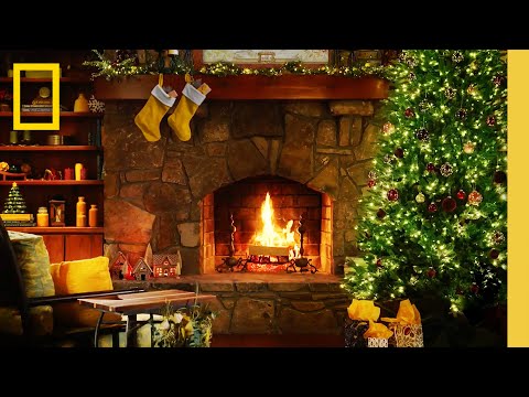 🔴 LIVE: Crackling Fireplace & Relaxing Holiday Background Music | 12 Days of Nat Geo