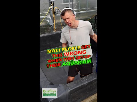 Dirting And Planting An 8' by 8' Basin of Vallisne SOME OF THE BEST ADVICE I CAN GIVE ABOUT THE PLANTED AQUARIUM! Check this out! Dirting and Planting 
