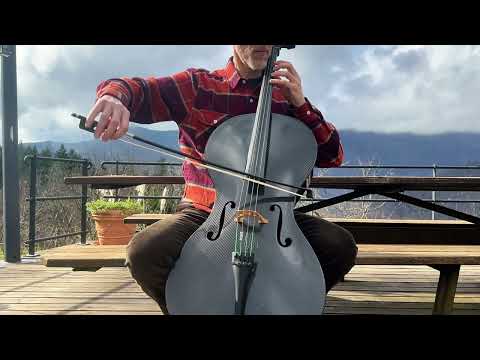 CINDY LAUPER - True Colors (COVER)