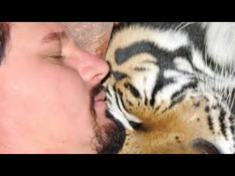 michael jamison is live!  cream time!