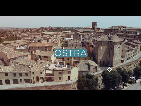 Ostra - Short Video 4k