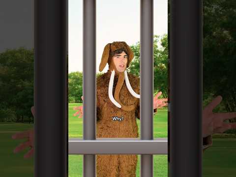 Bringing back the mammoth