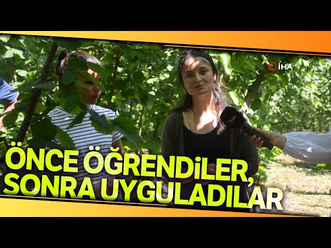 Ordu’da Çiftçiye “Fındık Yetiştiriciliği Kursu” Verildi