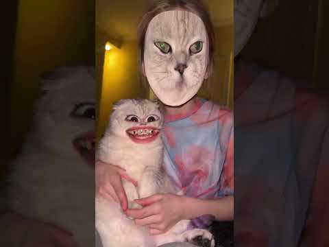 24 февраля 2026 г.