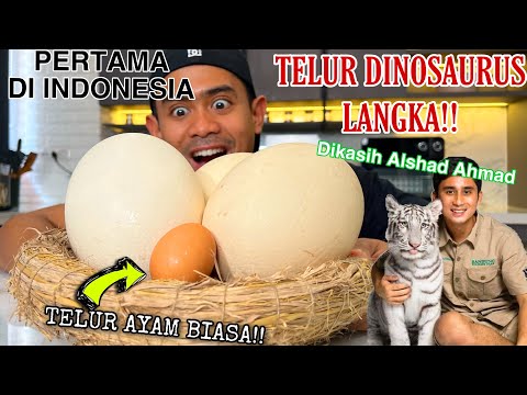 MUKBANG 2 BIJI TELUR DINOSAURUS PERTAMA DI INDONESIA!! | DIKASIH ALSHAD AHMAD