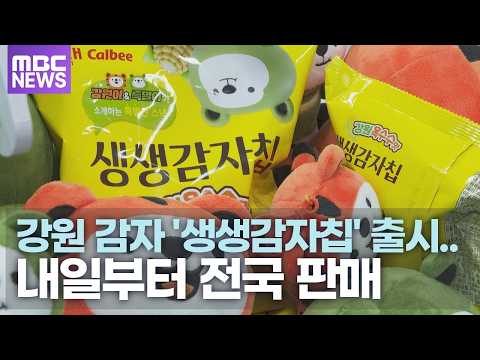강원 감자 '생생감자칩' <strong>출시</strong>.. 내일부터 <strong>전국</strong> 판매
