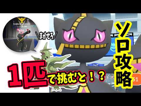 【ポケモンGO】ソロ攻略！メガジュペッタレイドをメガバンギラス1匹だけであく技で弱点をついて対策して1人討伐！週末のシャドウエンテイの対策も解説