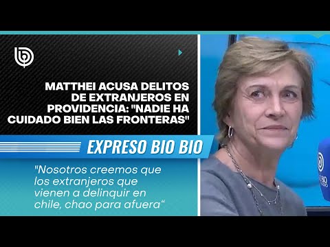 Matthei acusa delitos de extranjeros en Providencia: Nadie ha cuidado bien las fronteras