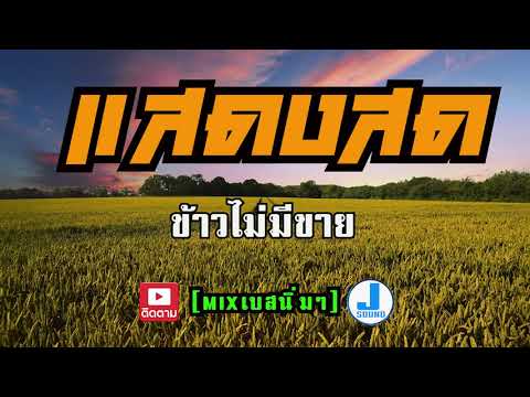 ข้าวไม่มีขาย-แสดงสด(coverศ