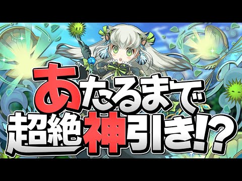 トリスとアンフロイ狙いで大罪龍ガチャ！神引き過ぎて人生勝ち組【パズドラ】