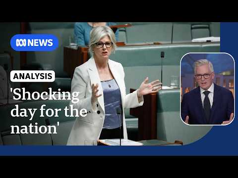 Helen Haines attack a 'confronting moment' for Australia: David Speers | ABC NEWS