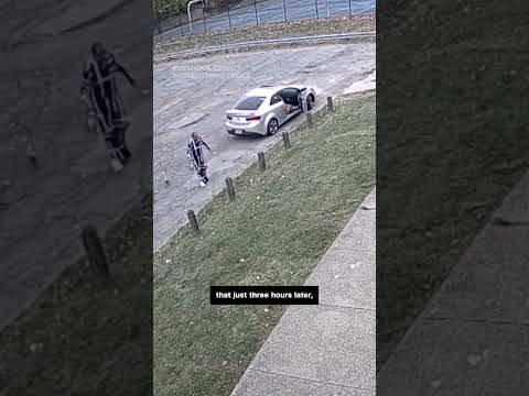 Teens carjack woman, kick her dog, and point gun at her