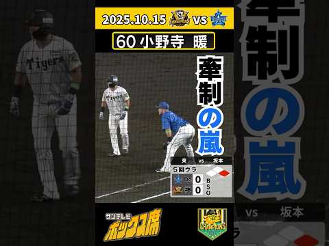 【ケンセイにマケズ】代走・小野寺暖選手にDeNA東投手から厳しい牽制攻め(2025年10月15日クライマックスシリーズ 阪神-DeNA) #サンテレビボックス席