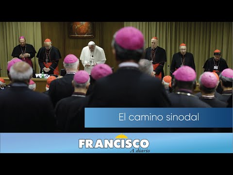 Francisco a Diario - El camino sinodal
