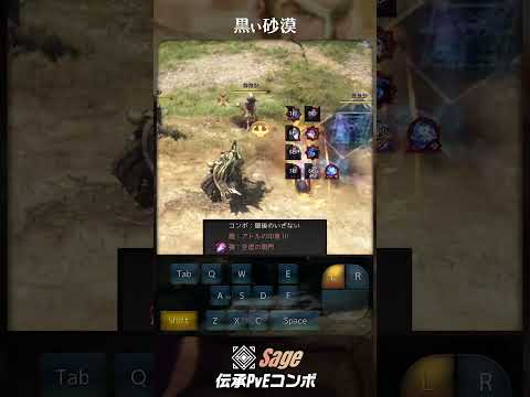 【GMキャロリア流】伝承セージ PvEコンボ紹介動画